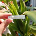 In tem inox ăn mòn đẹp giá rẻ - Mẫu 31